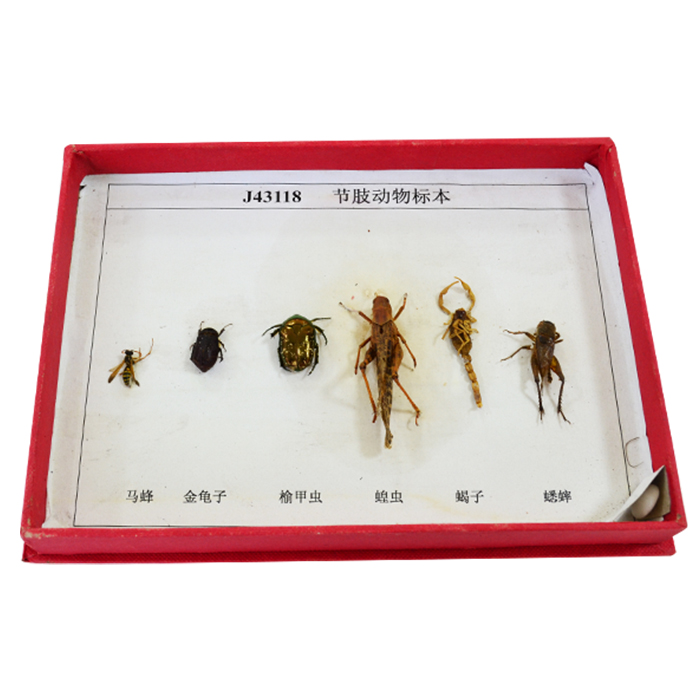 43118��(ji��)֫����˱�